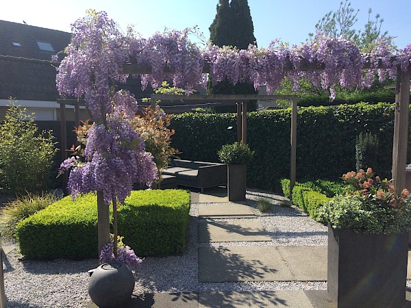 Tuintip van de maand april